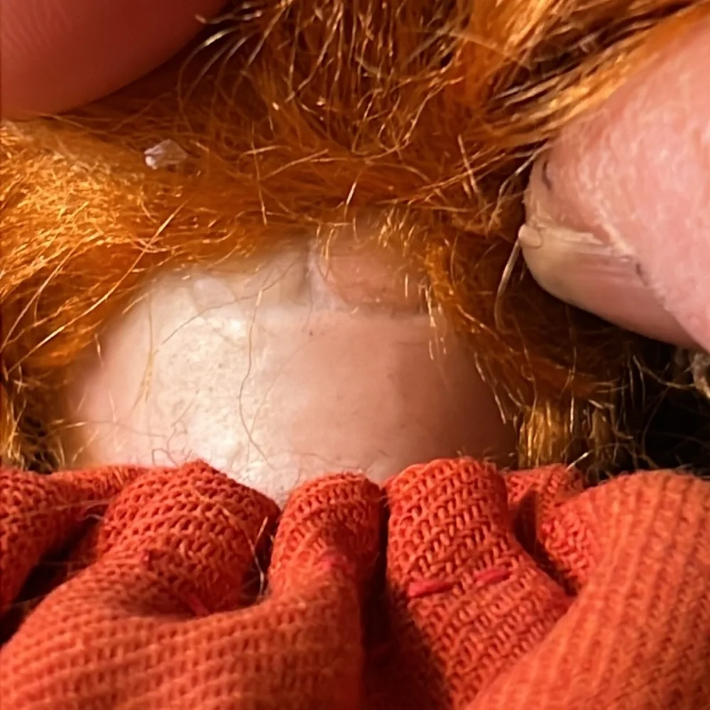 Antique bisque doll with carved wood body open mouth glass eyes marked red hair
